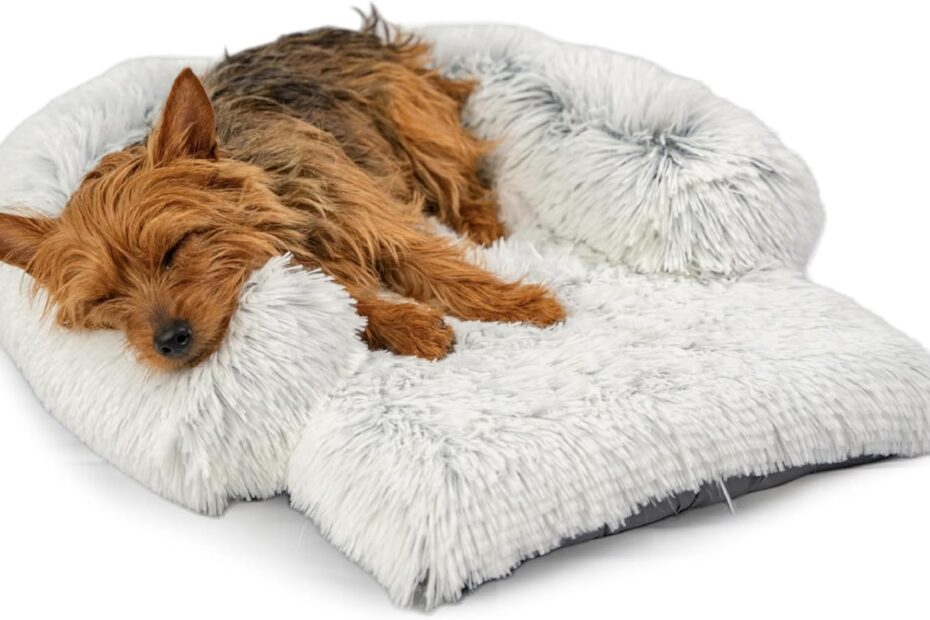 Cozy Comfort: Review of the Best Friends by Sheri Nap Mat Dog Bed