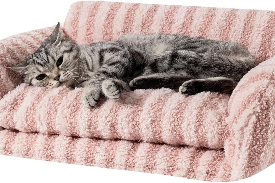 Cozy Comfort: The Hollypet Fluffy Plush Cat Bed Review