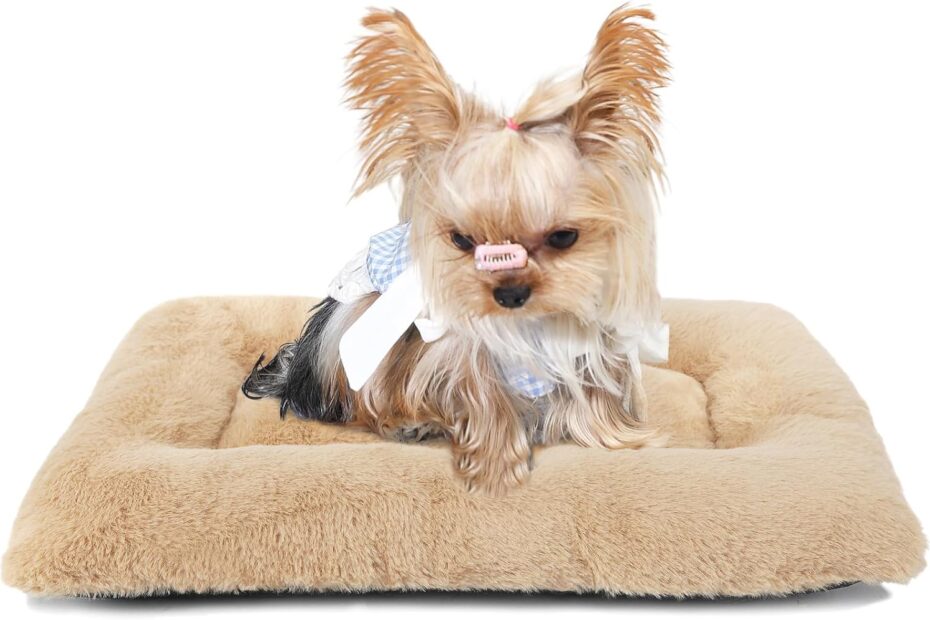 Cozy Comfort: The Ultimate 18-Inch Dog Crate Bed for Your Extra Small Pup!