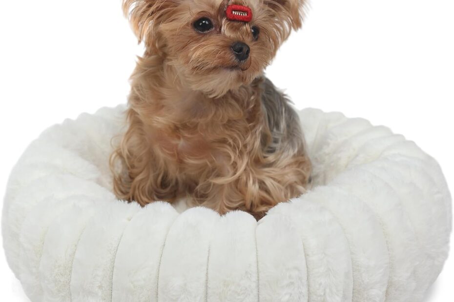 Cozy Comfort: Tiny Dog Bed Review for Your Petite Paws!