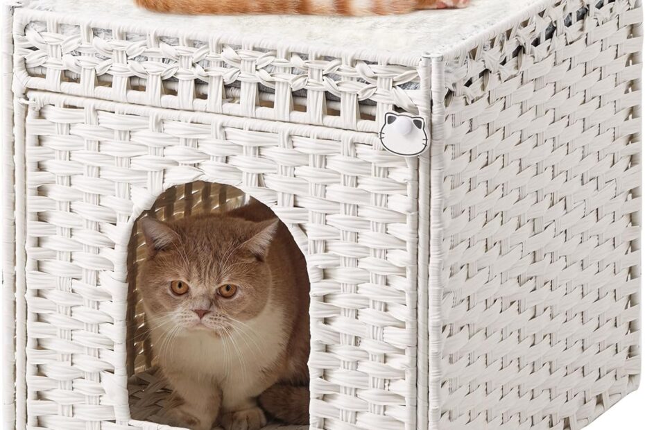 Cozy Up Your Cat: The Ultimate Review of the Extra Large Double Cat Cave