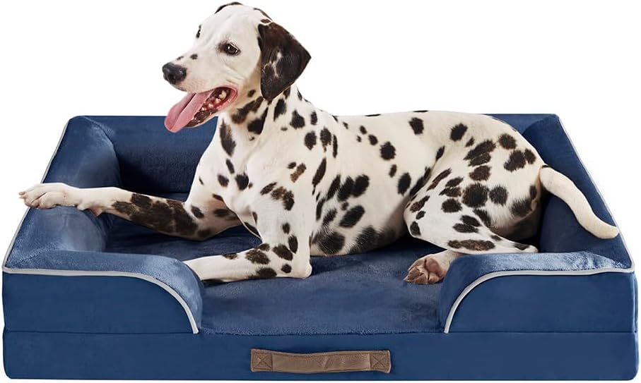 Discover Comfort: Friends Forever Orthopedic Dog Bed Review for Large Breeds