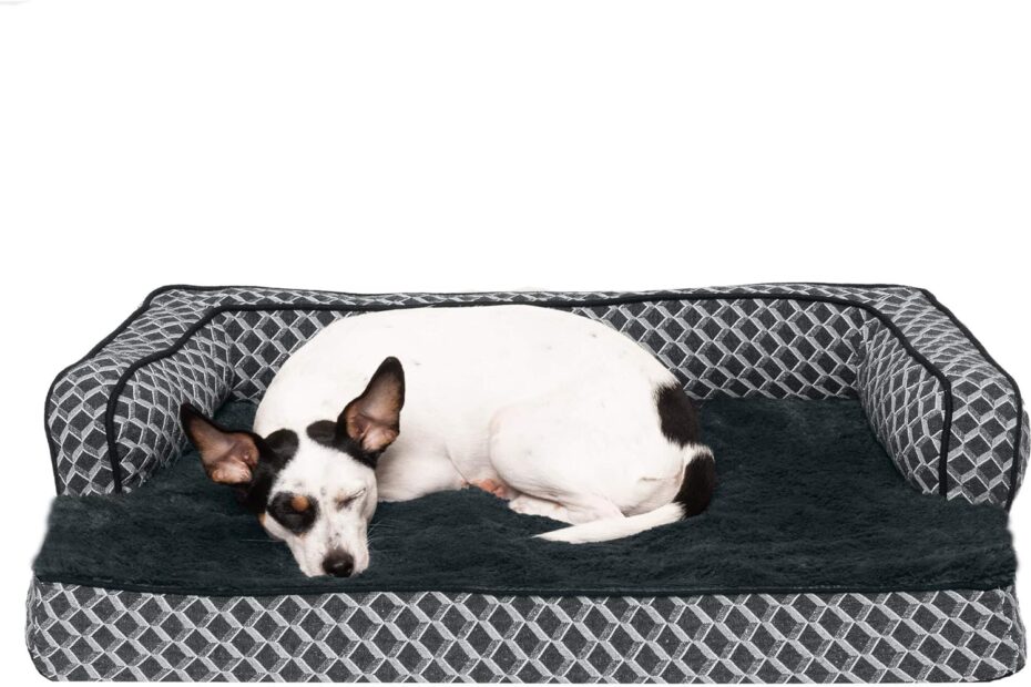 Discover Comfort: Furhaven Orthopedic Dog Bed Review for Small Pups