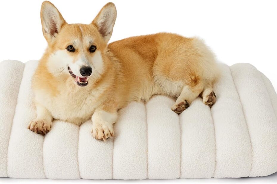 Discover Comfort: Lesure's Chic Orthopedic Dog Bed Review
