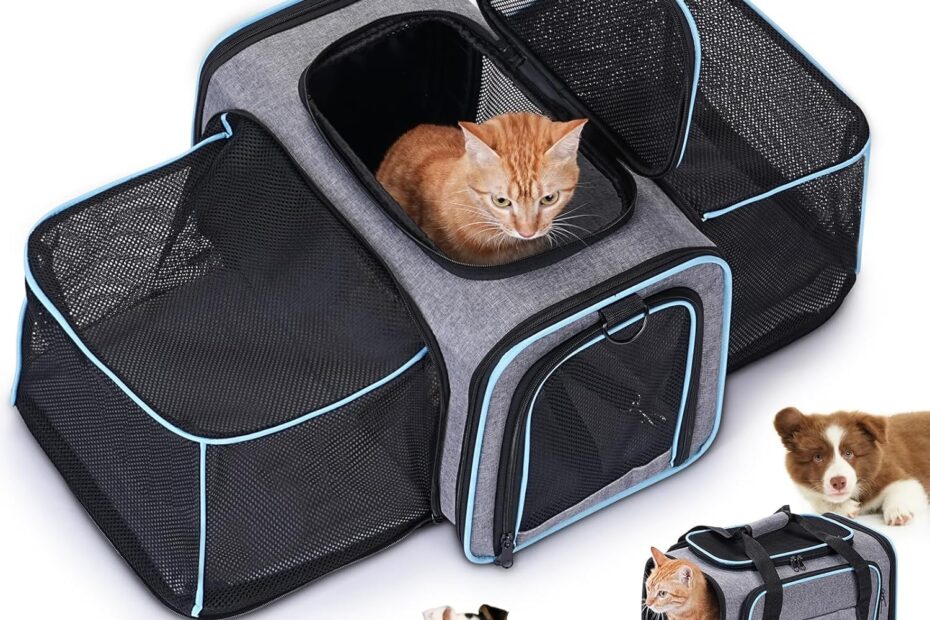 Discover Comfort on the Go: Review of the 2 Sides Travel Expandable Pet Carrier Bag