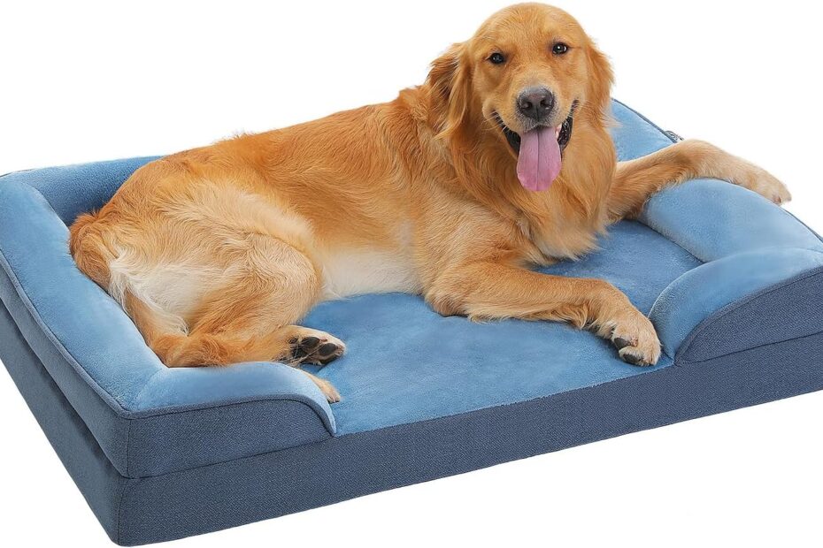 Discover Comfort: PAWZ Road Orthopedic Dog Bed Review for All Sizes