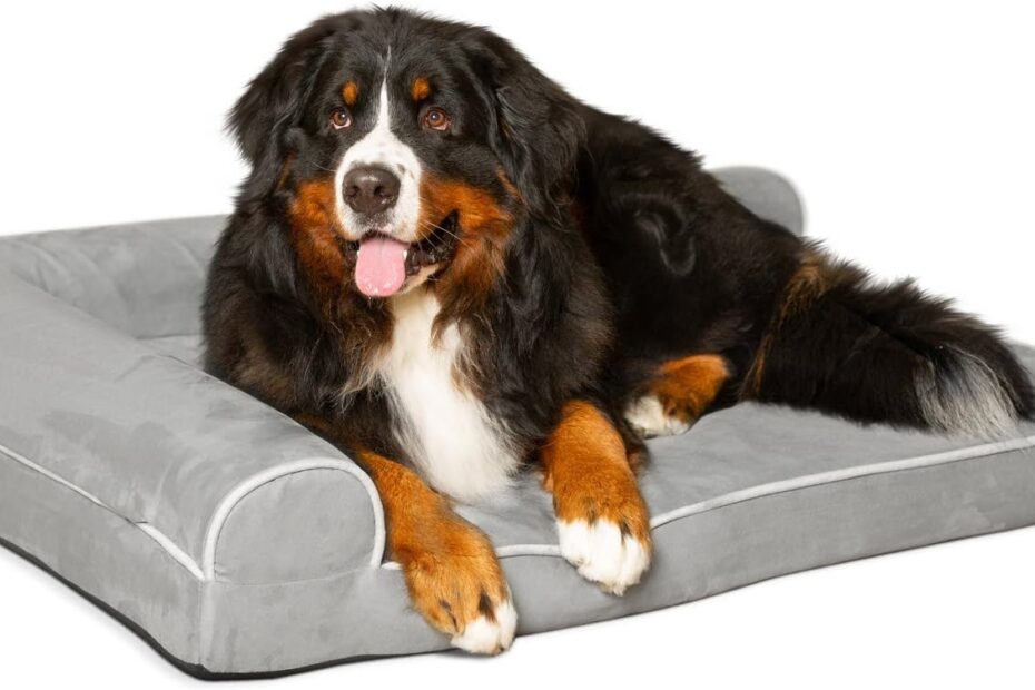 Discover Comfort: PetFusion BetterLounge Orthopedic Dog Bed Review