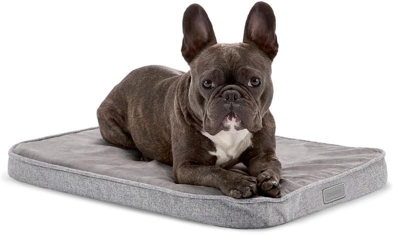 Discover Comfort: The Diggs Snooz Memory Foam Dog Bed Review