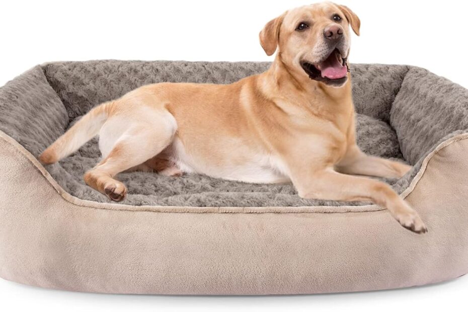 Discover Comfort: The JOEJOY Orthopedic Dog Bed Review