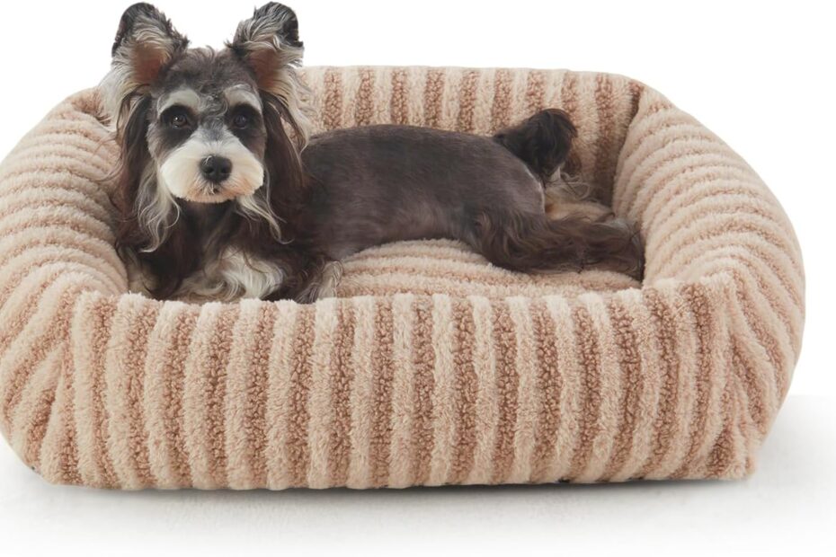 Discover Comfort: The MIXJOY Orthopedic Dog Bed Review for Small Pups