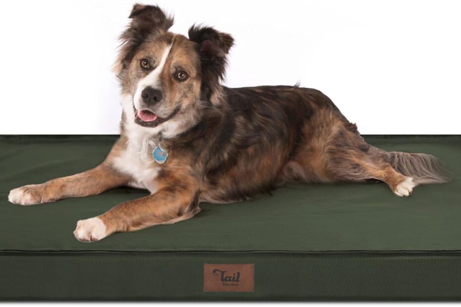 Discover Comfort: The Ultimate Waterproof Orthopedic Dog Bed for Big Pups!
