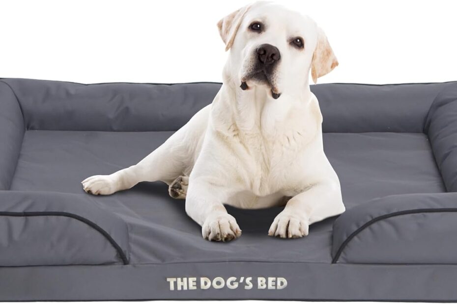 Discover Comfort: The Ultimate Waterproof Orthopedic Dog Bed Review
