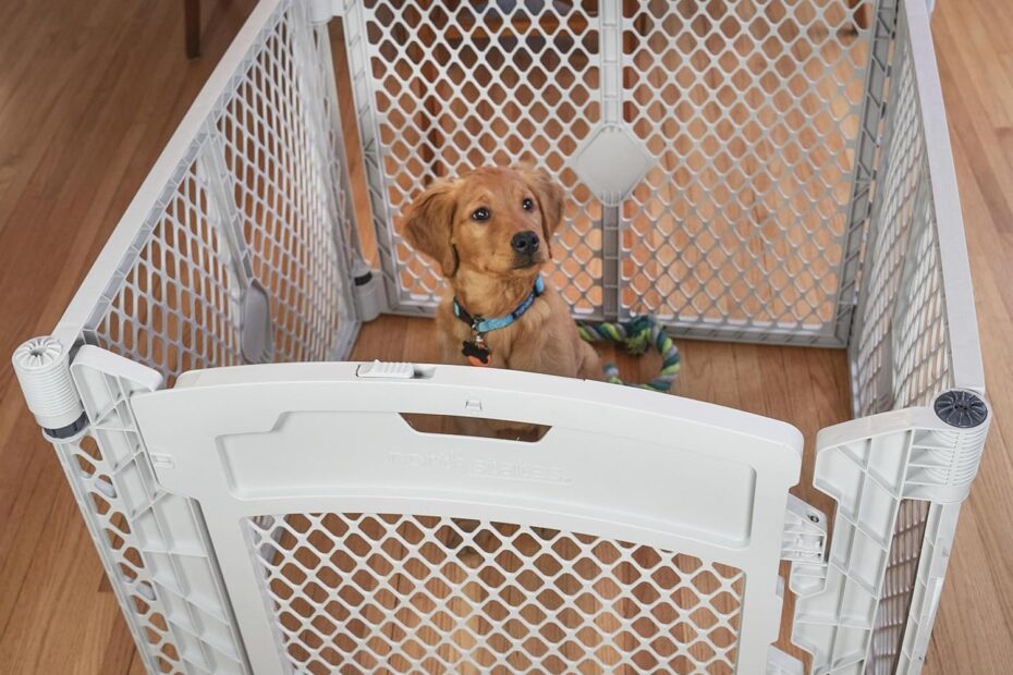 Discover the MyPet North States Playpen: Ultimate Safety for Your Pup!