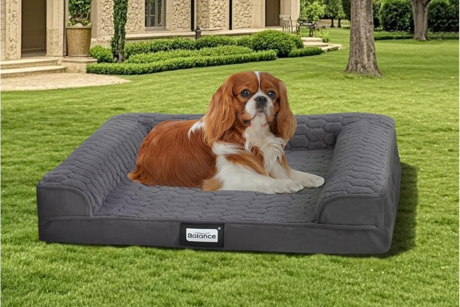 Discover Ultimate Comfort: BALANCE Orthopedic Dog Bed Review