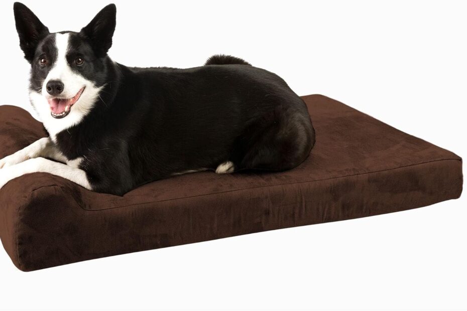 Discover Ultimate Comfort: Barker Junior Orthopedic Dog Bed Review