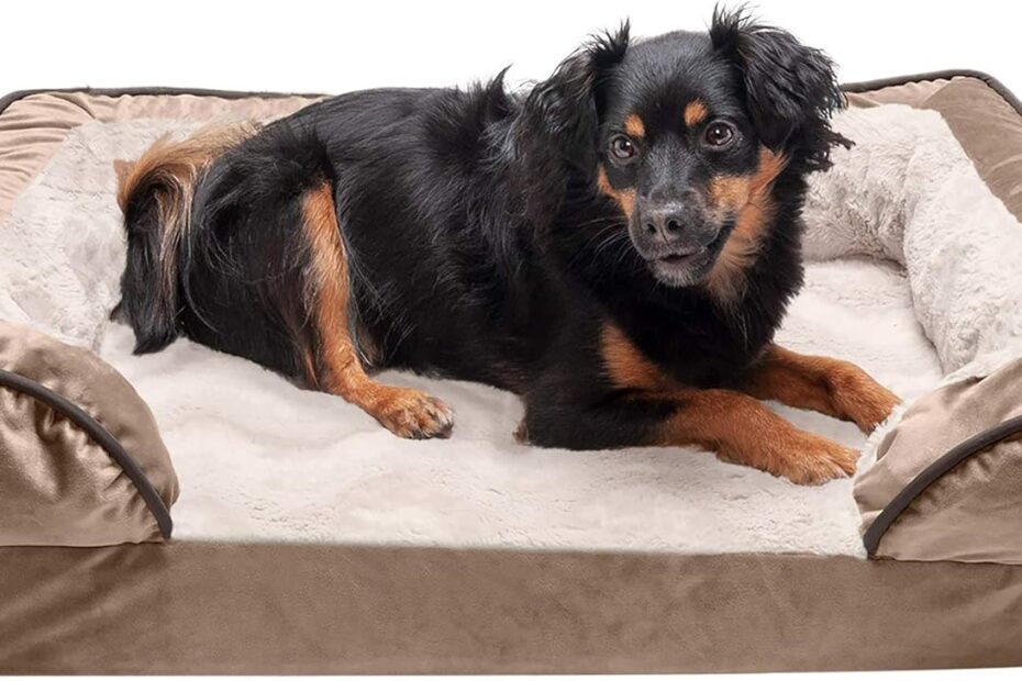 Discover Ultimate Comfort: Furhaven Cooling Gel Dog Bed Review!