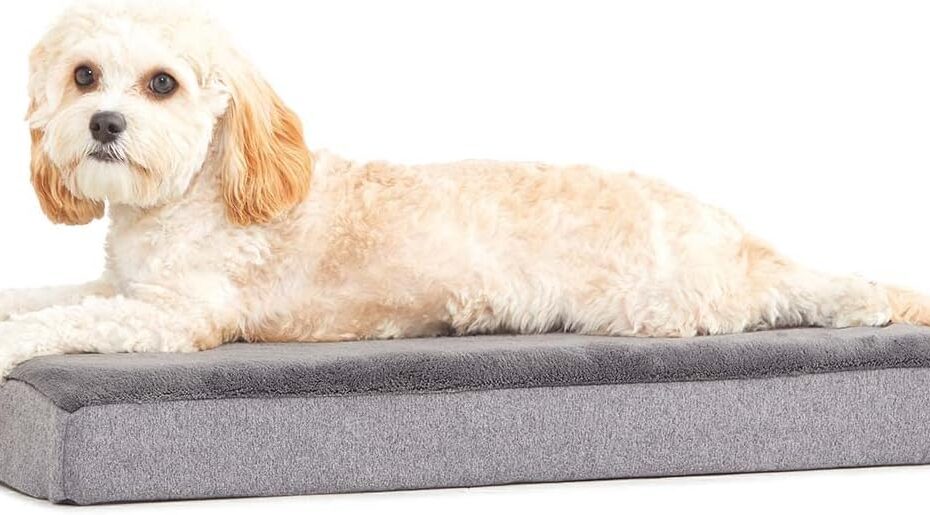 Discover Ultimate Comfort with the Barkbox Orthopedic Dog Bed for Restful Slumber!