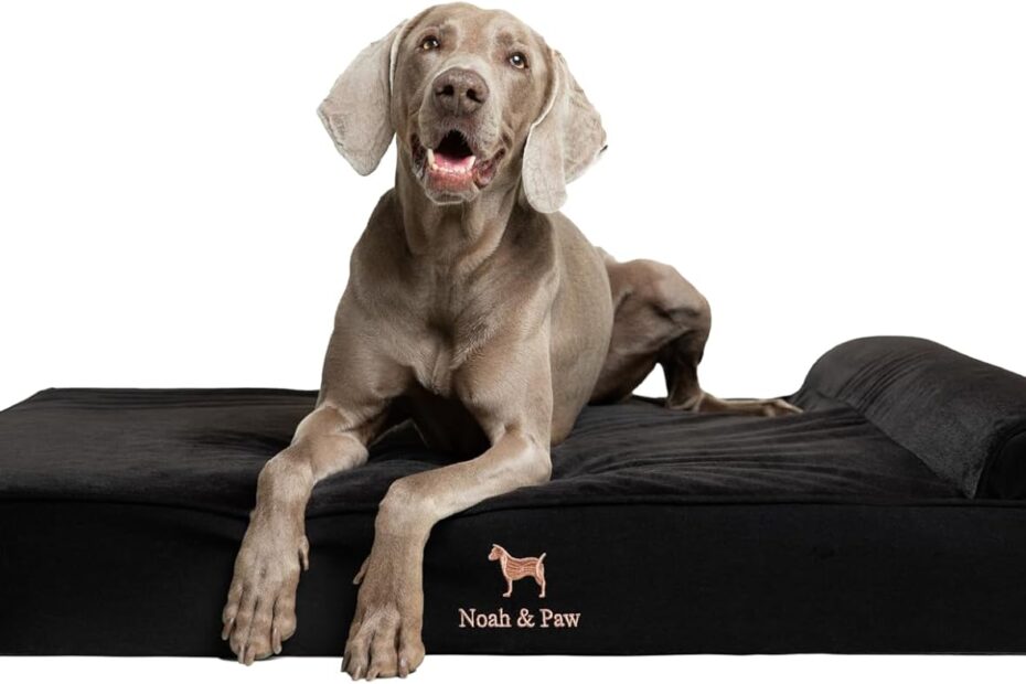Elevate Comfort: Review of the NOAH & PAW XL Orthopedic Dog Bed