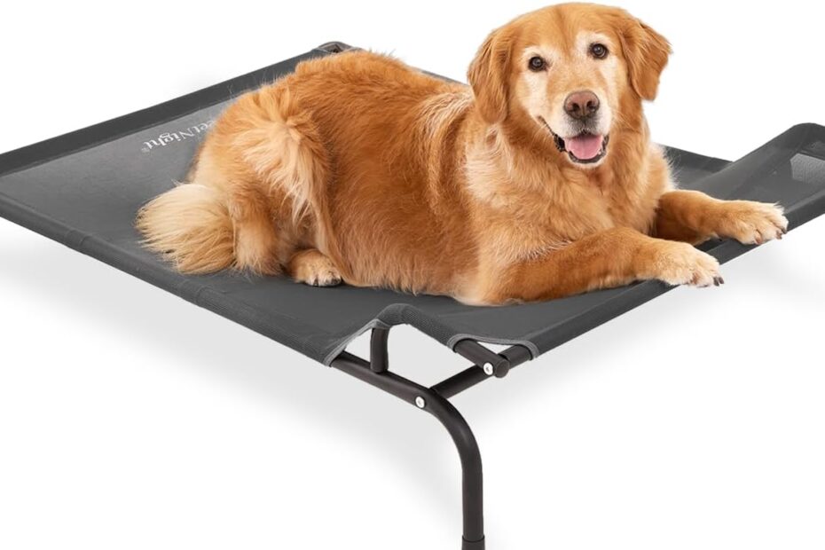 Elevate Comfort: Sweetnight Elevated Dog Bed Review for Large Dogs!