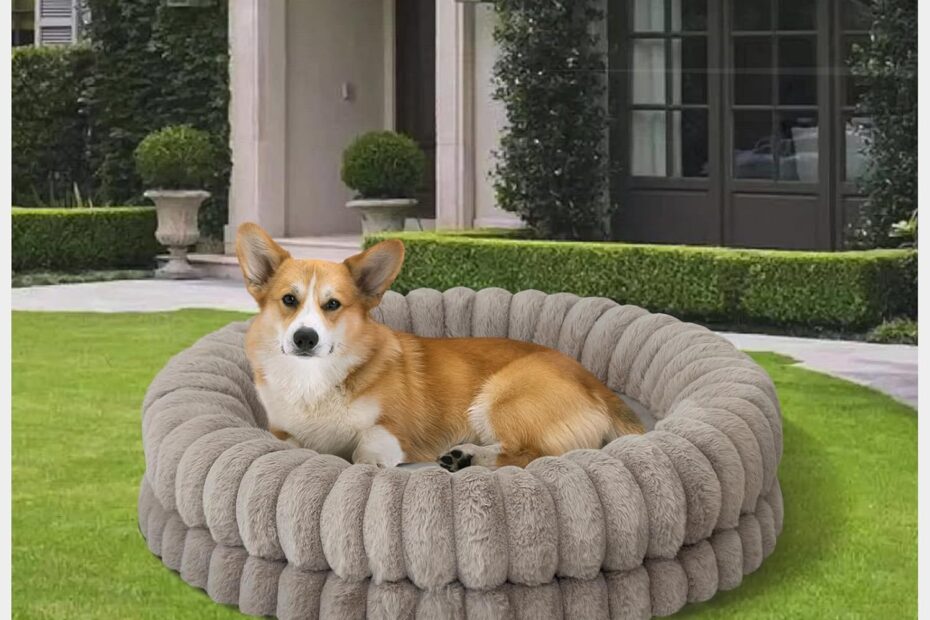 Elevate Your Pup's Comfort: Review of the BALANCE Luxury Donut Dog Bed