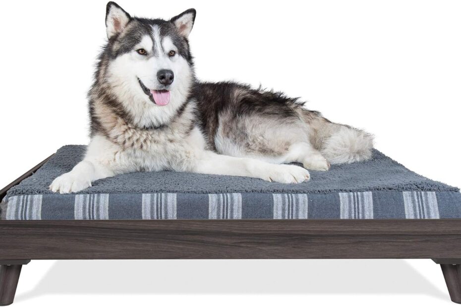 Elevate Your Pup's Comfort: Review of the Furhaven XL Elevated Dog Bed Frame!