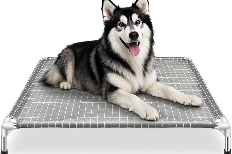 Elevated Comfort: Unbiased Review of the XL Dog Cot for Your Pet's Perfect Nap!