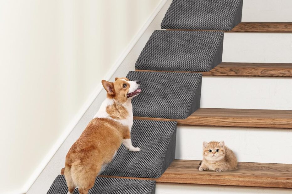Essential Guide to 40D Small Dog Steps: Safe Ramps for Your Furry Friend!