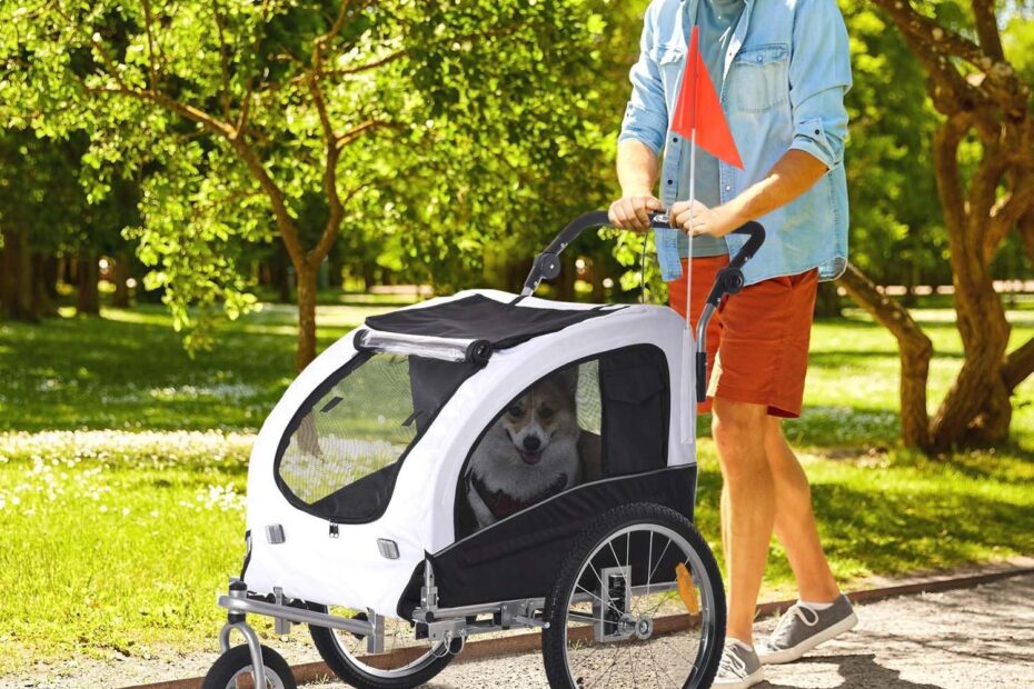 Explore the Outdoors: Review of the 2-in-1 Pet Bike Trailer and Stroller