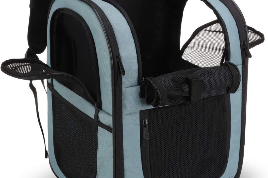 Explore with Ease: Review of the Apollo Walker Dog & Cat Carrier Backpack