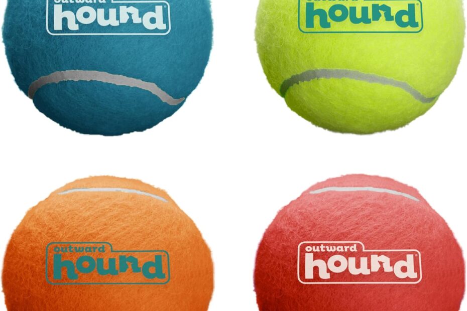 Fetch Fun: Review of Outward Hound Squeaker Ballz for Playful Pups