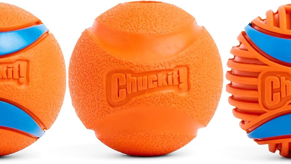 Fetch Fun: Unleash Playtime with Chuckit! Dog Balls!