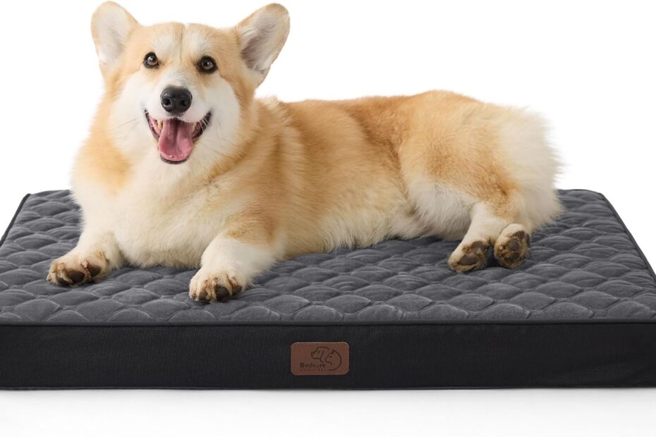 Give Your Pup Comfort: Bedsure Orthopedic Dog Bed Review