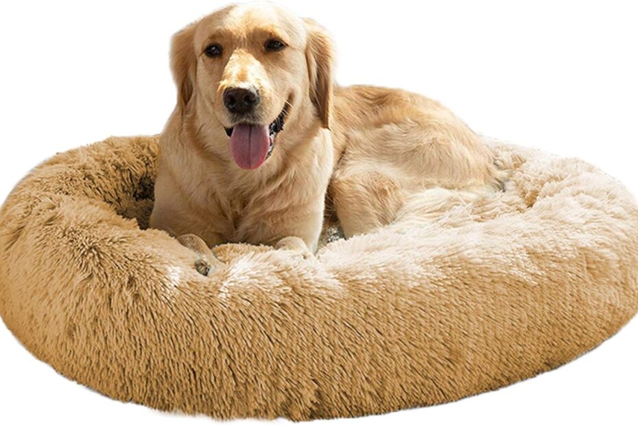 Heavenly Comfort: MFOX Calming Dog Bed for Your Furry Friend