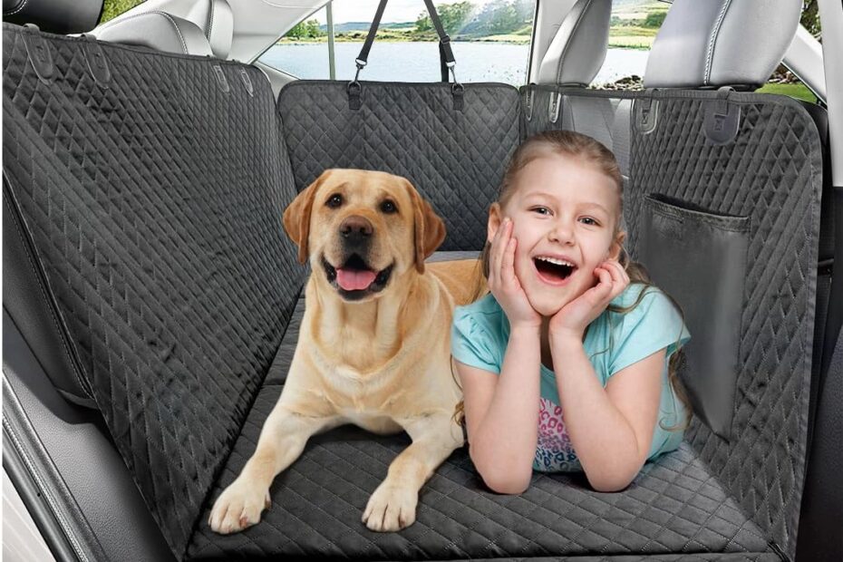 Keep Your Car Clean: Vailge Dog Car Seat Cover Review