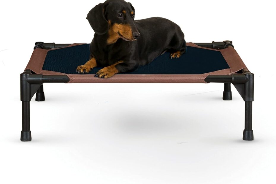 Keep Your Pup Cool: K&H Elevated Dog Cot Review