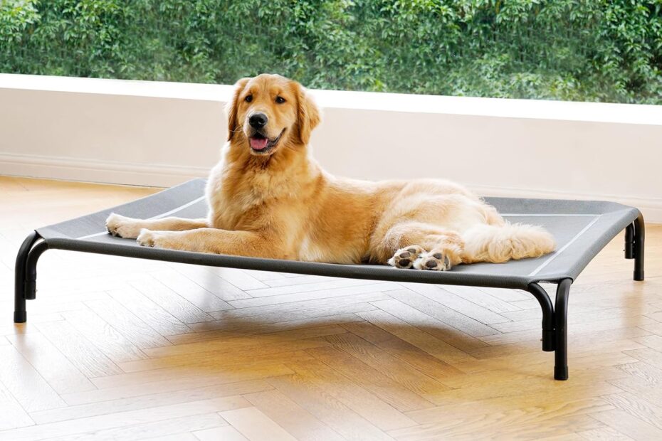 Keep Your Pup Cool: The Ultimate Elevated Dog Bed Review!
