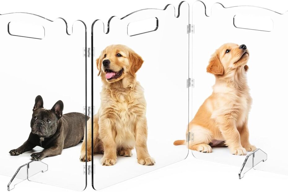 Keep Your Pup Safe: The Ultimate Clear Acrylic Dog Gate Review!