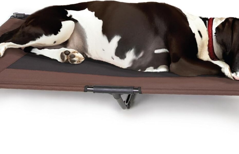 Keep Your XL Dog Cool and Comfy: K&H Outdoor Elevated Dog Cot Review