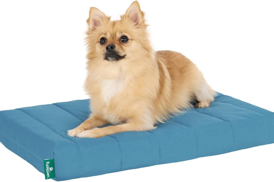 Luxuriate Your Pup: The FurHaven Orthopedic Dog Bed Review