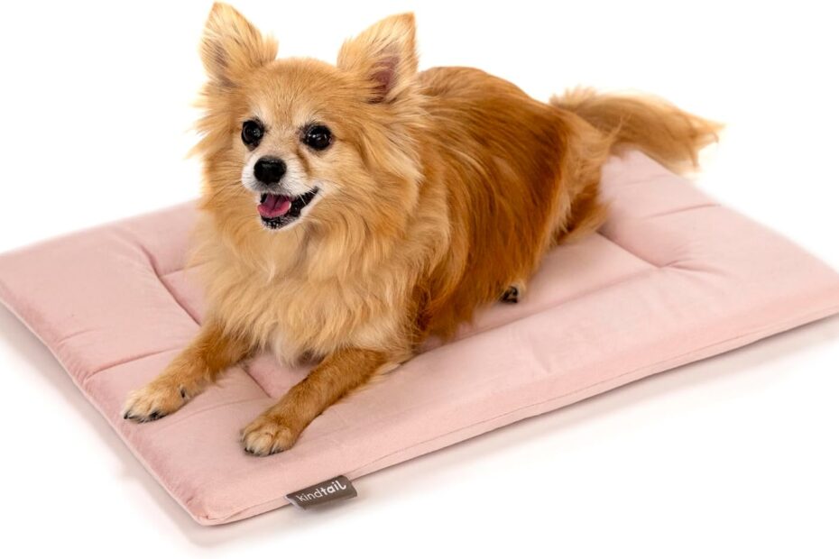 Pamper Your Pet: Review of the KindTail Orthopedic Dog and Cat Bed