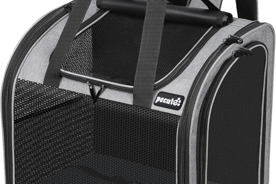 Pecute Cat Backpack: The Ultimate Travel Companion for Pets