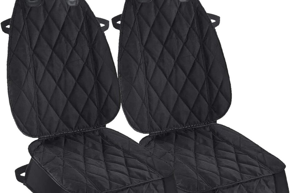 Protect Your Ride: Review of AsFrost Heavy Duty Dog Car Seat Covers