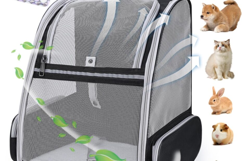 Purr-fect Adventures: Review of the Lollimeow Cat Backpack Carrier