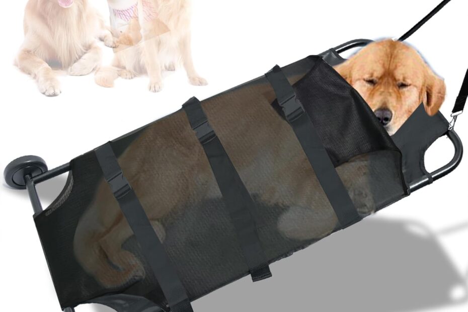 Rescue Ready: Review of the 250lbs Dog Stretcher for Large Dogs