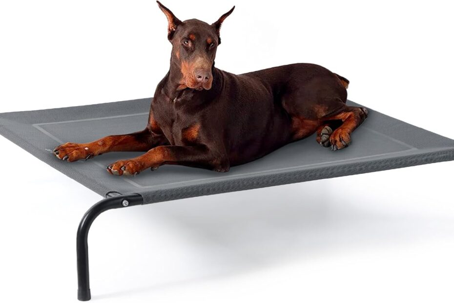 Rest Easy: Bedsure Outdoor Elevated XL Dog Bed Review
