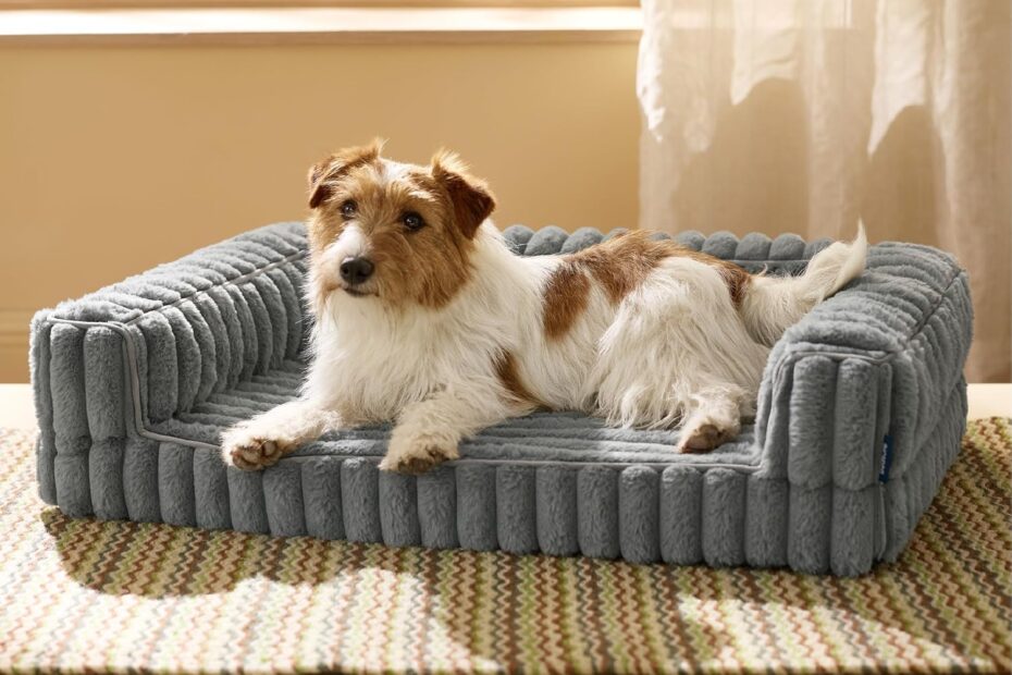 Rest Easy: The Ultimate Review of Bedsure's Orthopedic Dog Bed for Medium Dogs