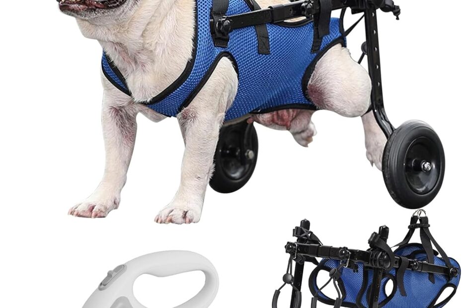 Revitalize Your Dog's Mobility: The Ultimate Guide to Medium Dog Wheelchairs for Disabled Hind Legs