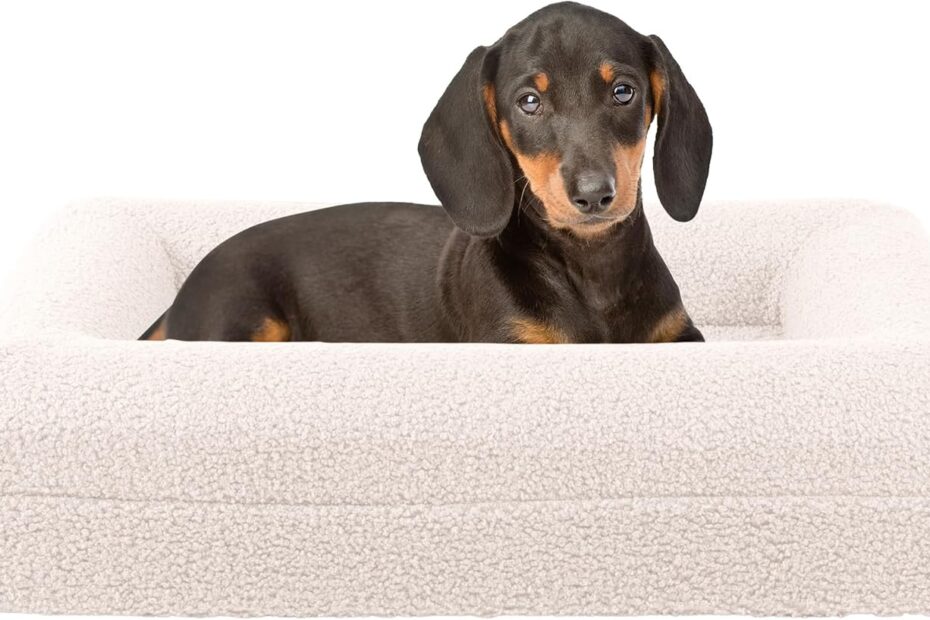 Revitalize Your Pet's Rest: Review of the PETMAKER Orthopedic Bed for Small Dogs