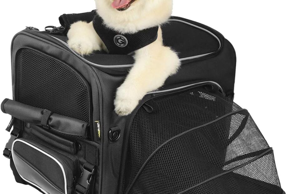 Ride in Comfort: The Nelson-Rigg Route 1 Rover Pet Carrier Review