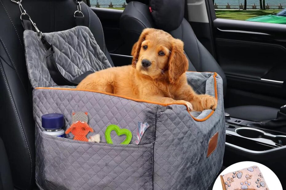 Ride in Comfort: The Ultimate Memory Foam Booster Dog Car Seat Review